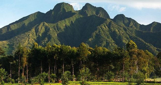 Volcanoes & Highlands Escape Rwanda